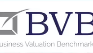 Business Valuation Benchmarks logo