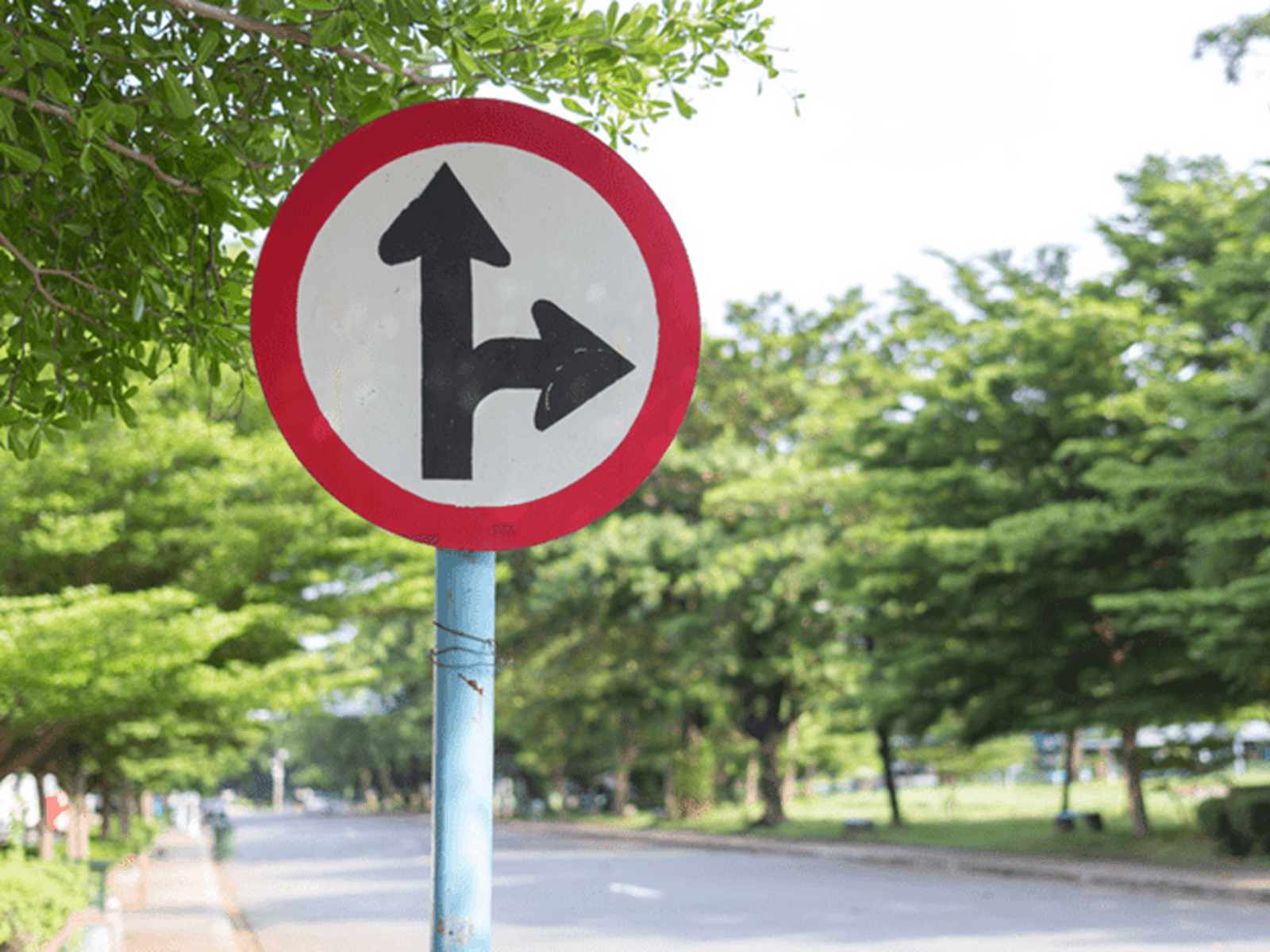Image of a road sign pointing different directions