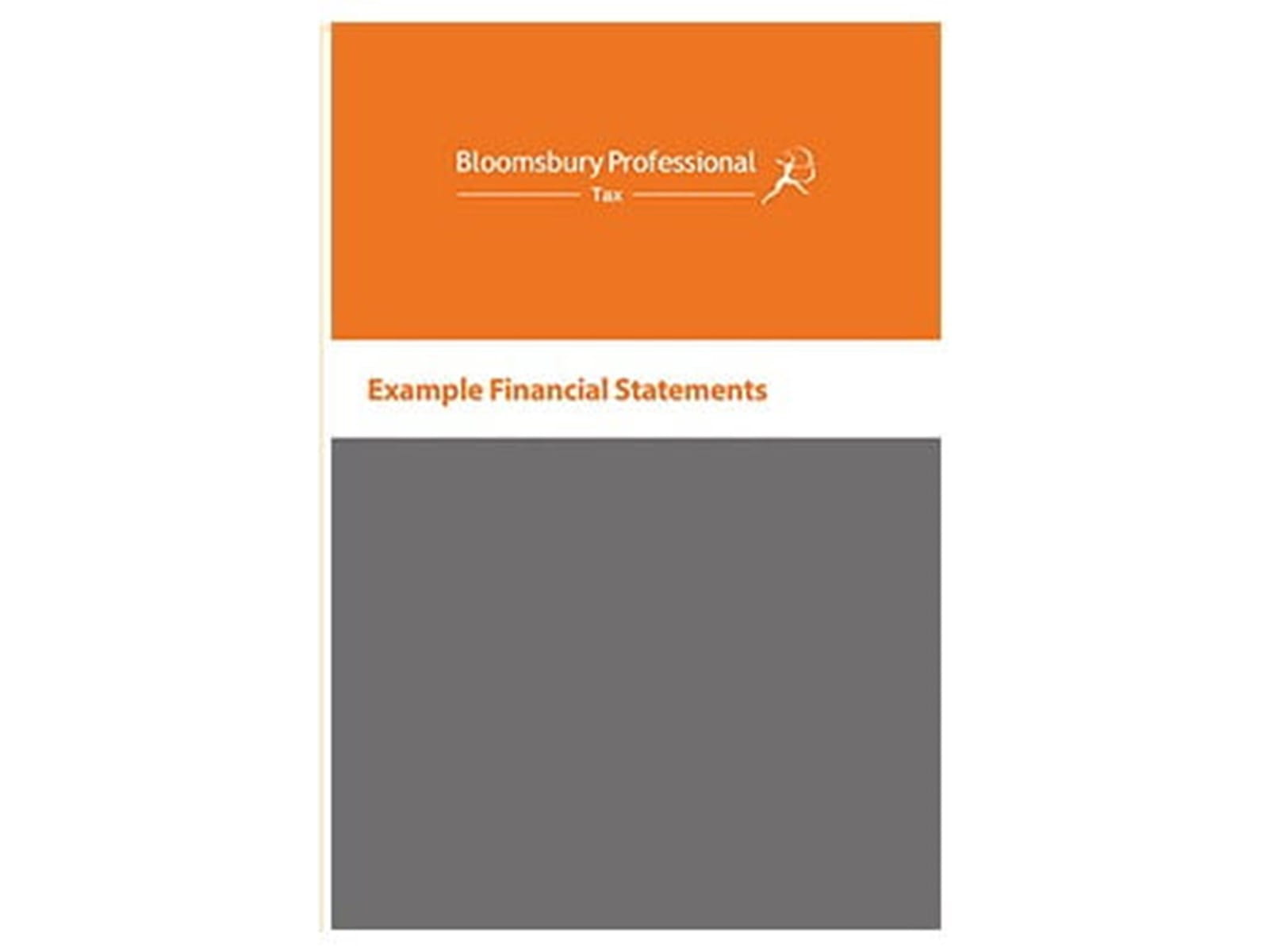 Example Financial Statements