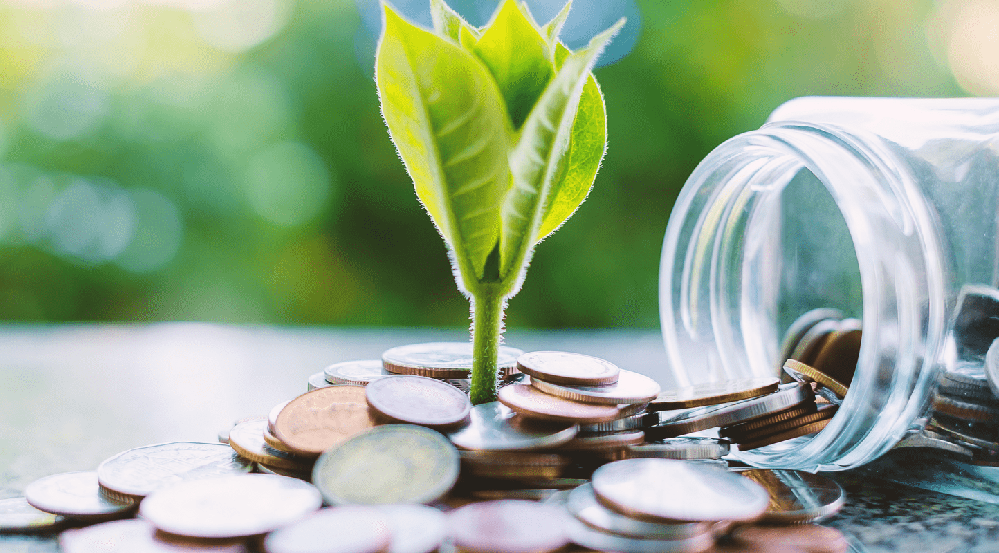 Sustainability image with a plant and money jar